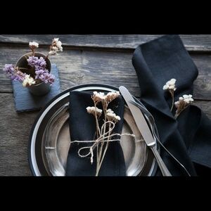 4 Cloth Napkins + 4 Silver Napkin Ring Holder Set
